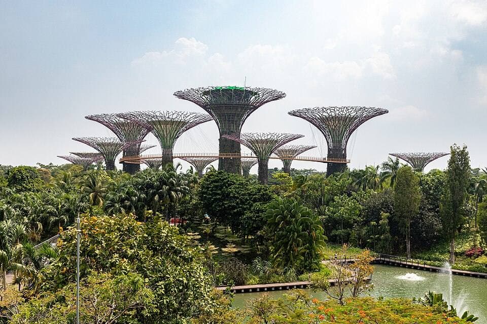 Gardens by the Bay in Singapore
